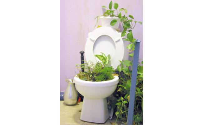 Converted Flush Toilet